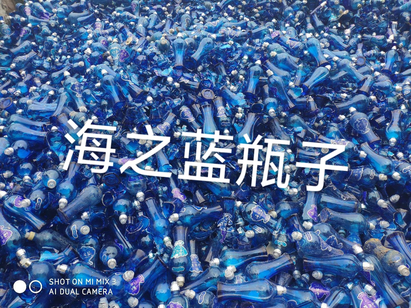 赣榆区海之蓝瓶回收